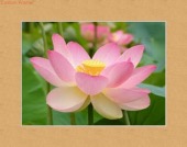 Do you have diabetes image healthtips images